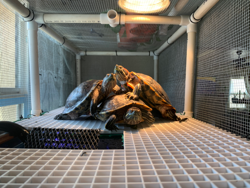 T-Boz, Chilli, and Left Eye basking together